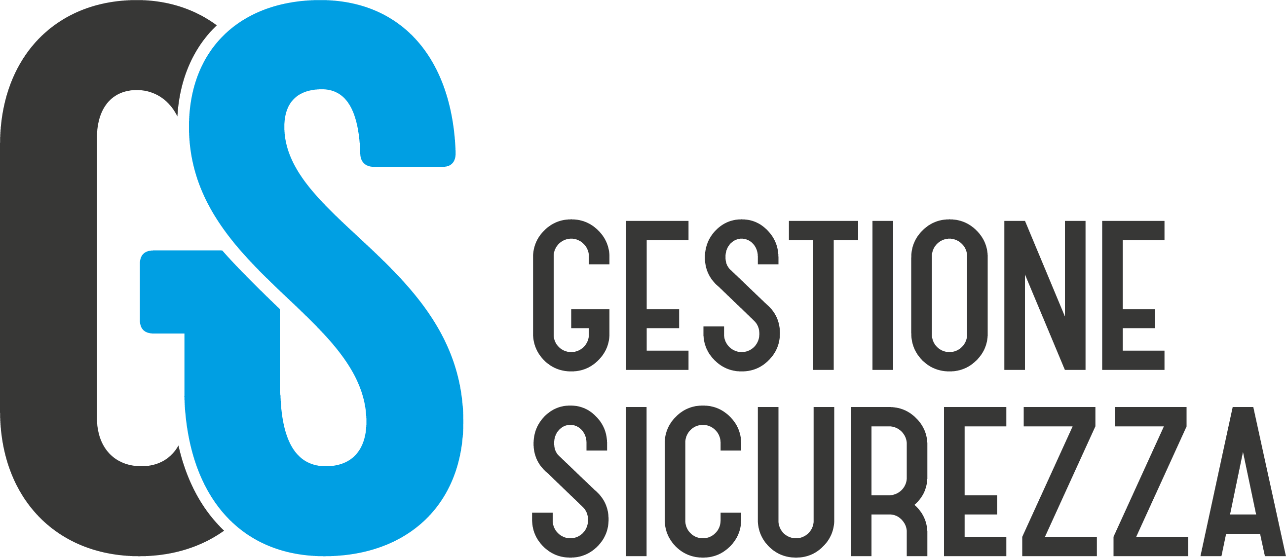 GESTIONE SICUREZZA sas